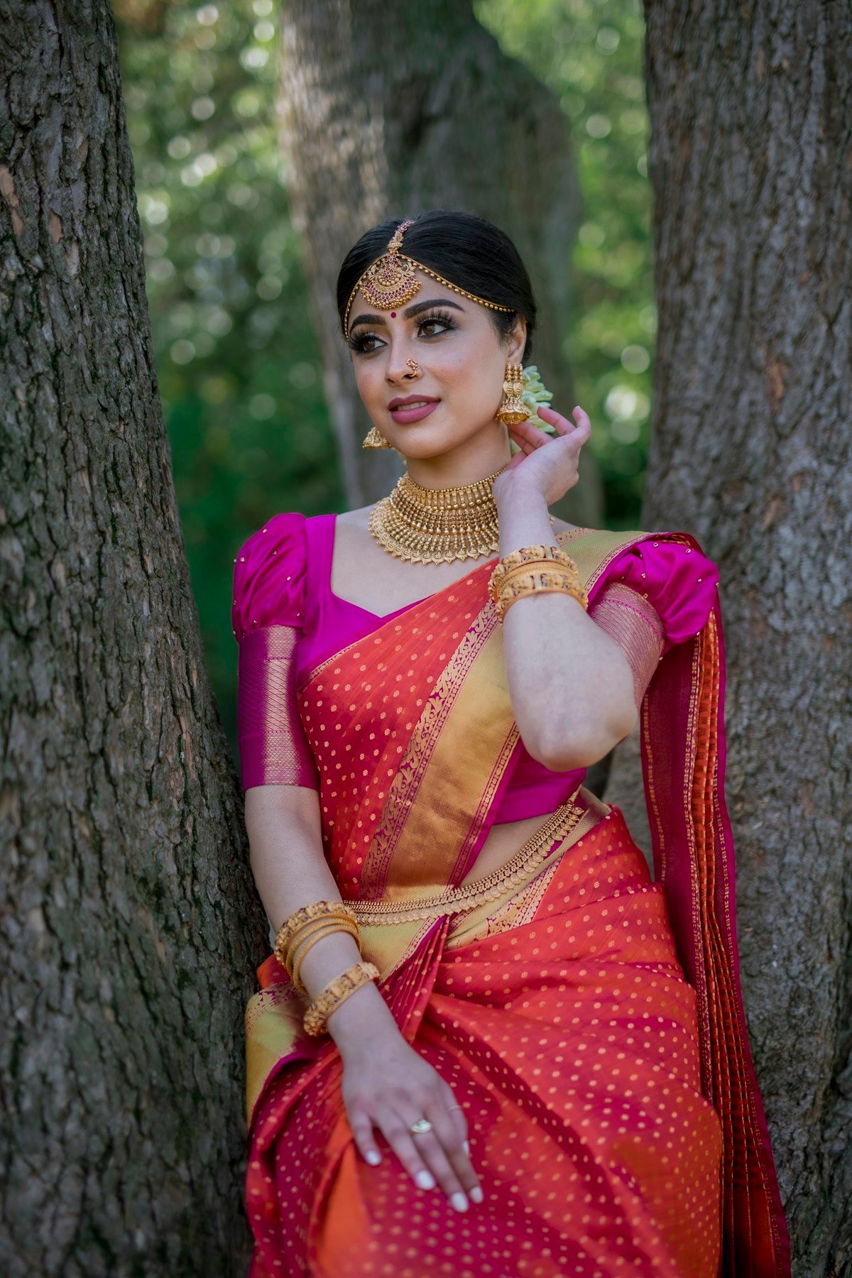 Traditional Indian Costumes